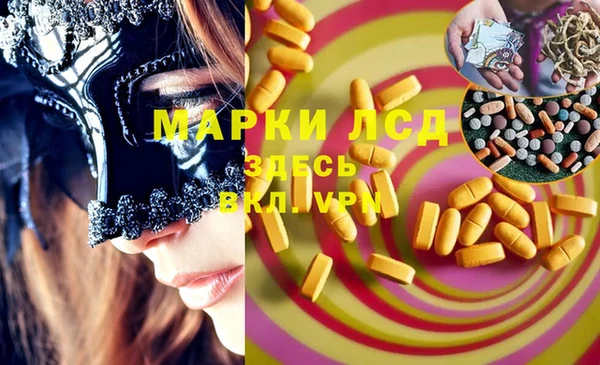 таблы Гусев