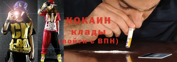 ПСИЛОЦИБИНОВЫЕ ГРИБЫ Гусь-Хрустальный