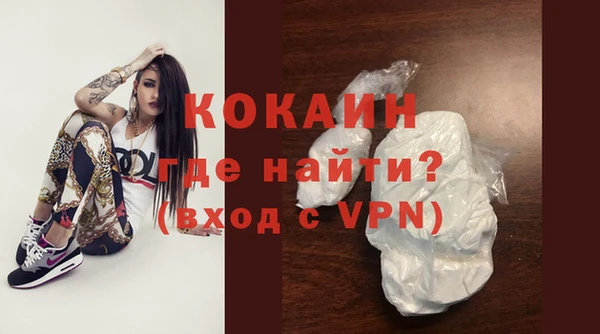 таблы Гусев