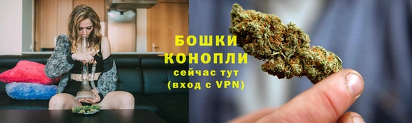 таблы Гусев