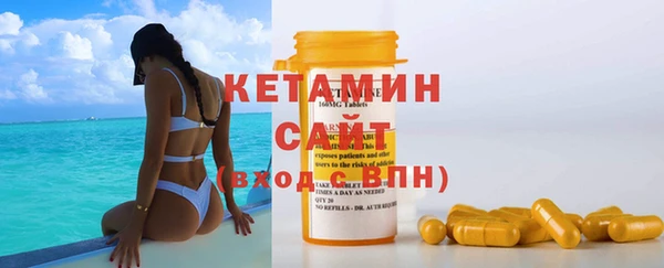 молекула духа Вяземский