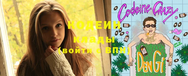 ПСИЛОЦИБИНОВЫЕ ГРИБЫ Гусь-Хрустальный