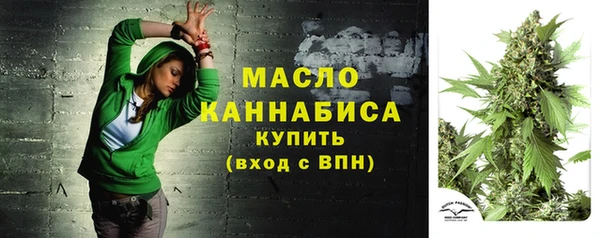 молекула духа Вяземский