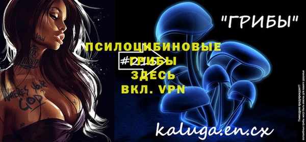 ПСИЛОЦИБИНОВЫЕ ГРИБЫ Гусь-Хрустальный