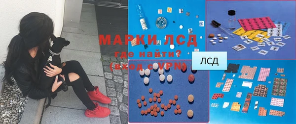 таблы Гусев