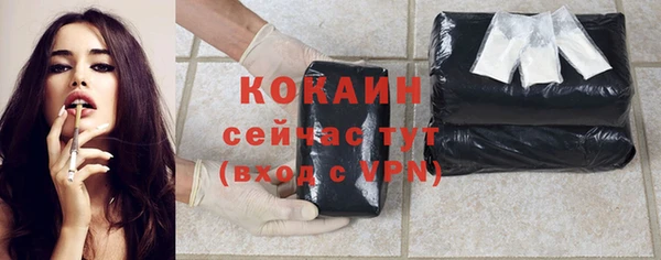 ПСИЛОЦИБИНОВЫЕ ГРИБЫ Гусь-Хрустальный
