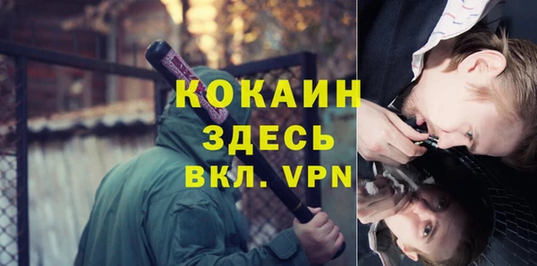 ПСИЛОЦИБИНОВЫЕ ГРИБЫ Гусь-Хрустальный