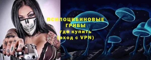 ПСИЛОЦИБИНОВЫЕ ГРИБЫ Гусь-Хрустальный